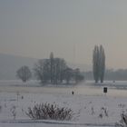 im Frühdunst am Elbufer - Blick zum Fernsehturm