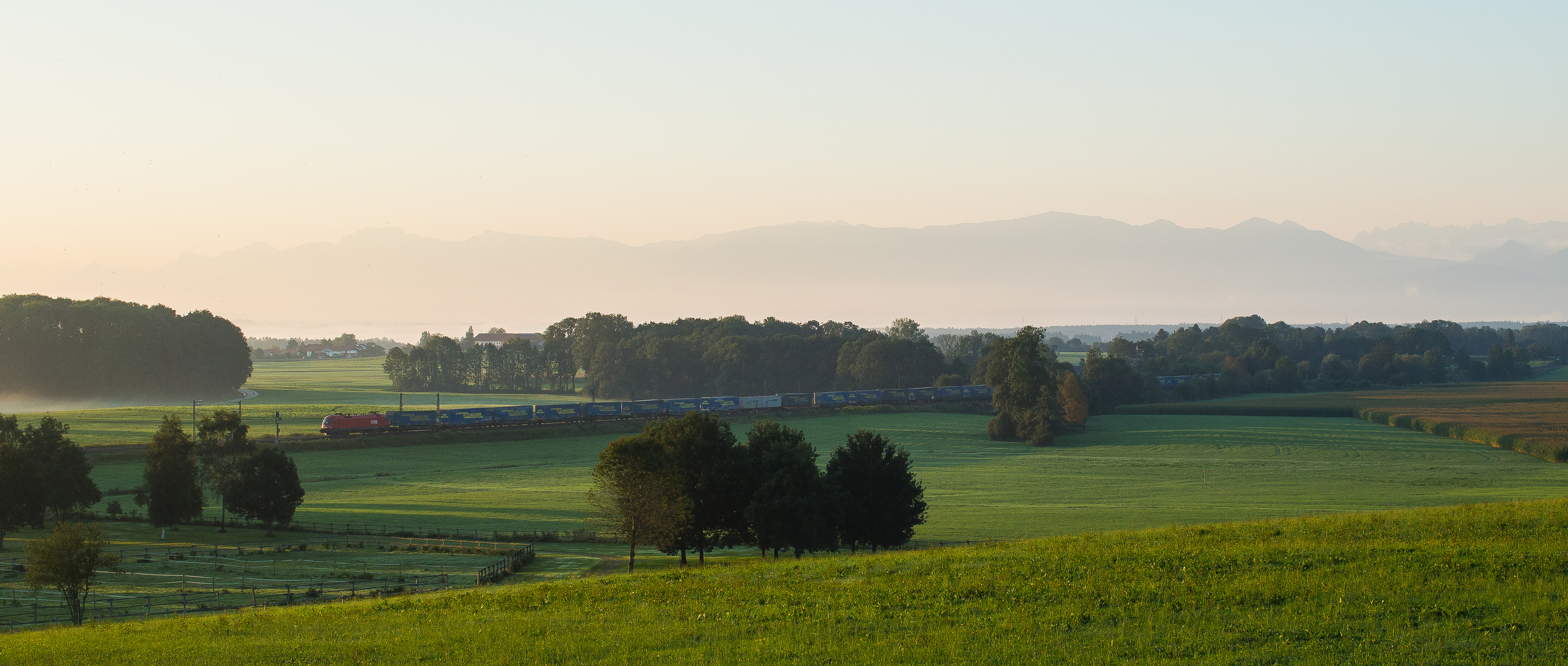 Im frühen Morgenlicht ...