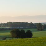 Im frühen Morgenlicht ...