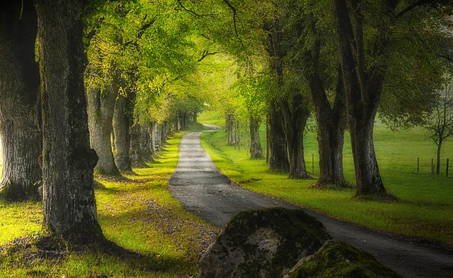 im frühen Morgenlicht