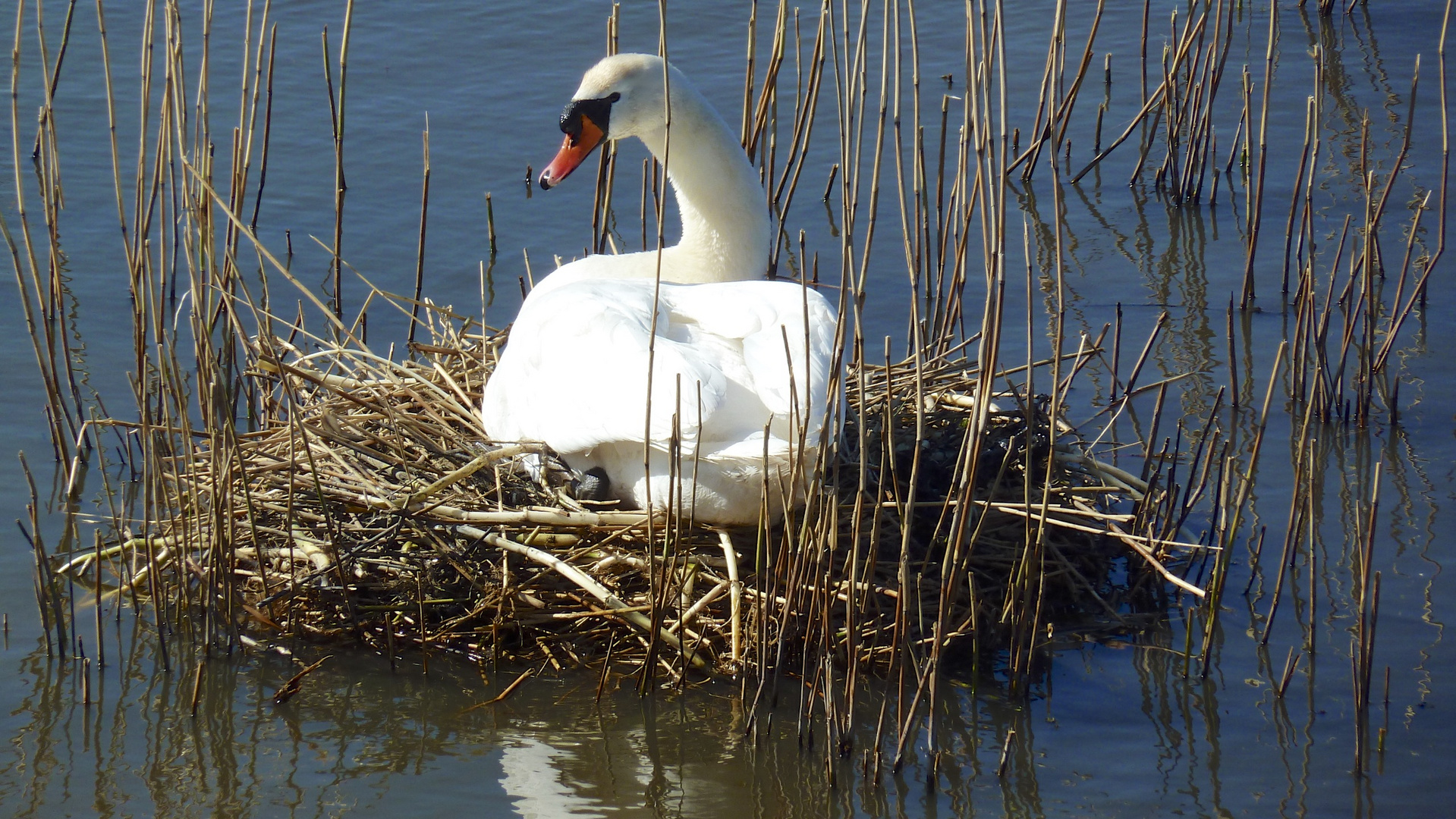 Im Frühling