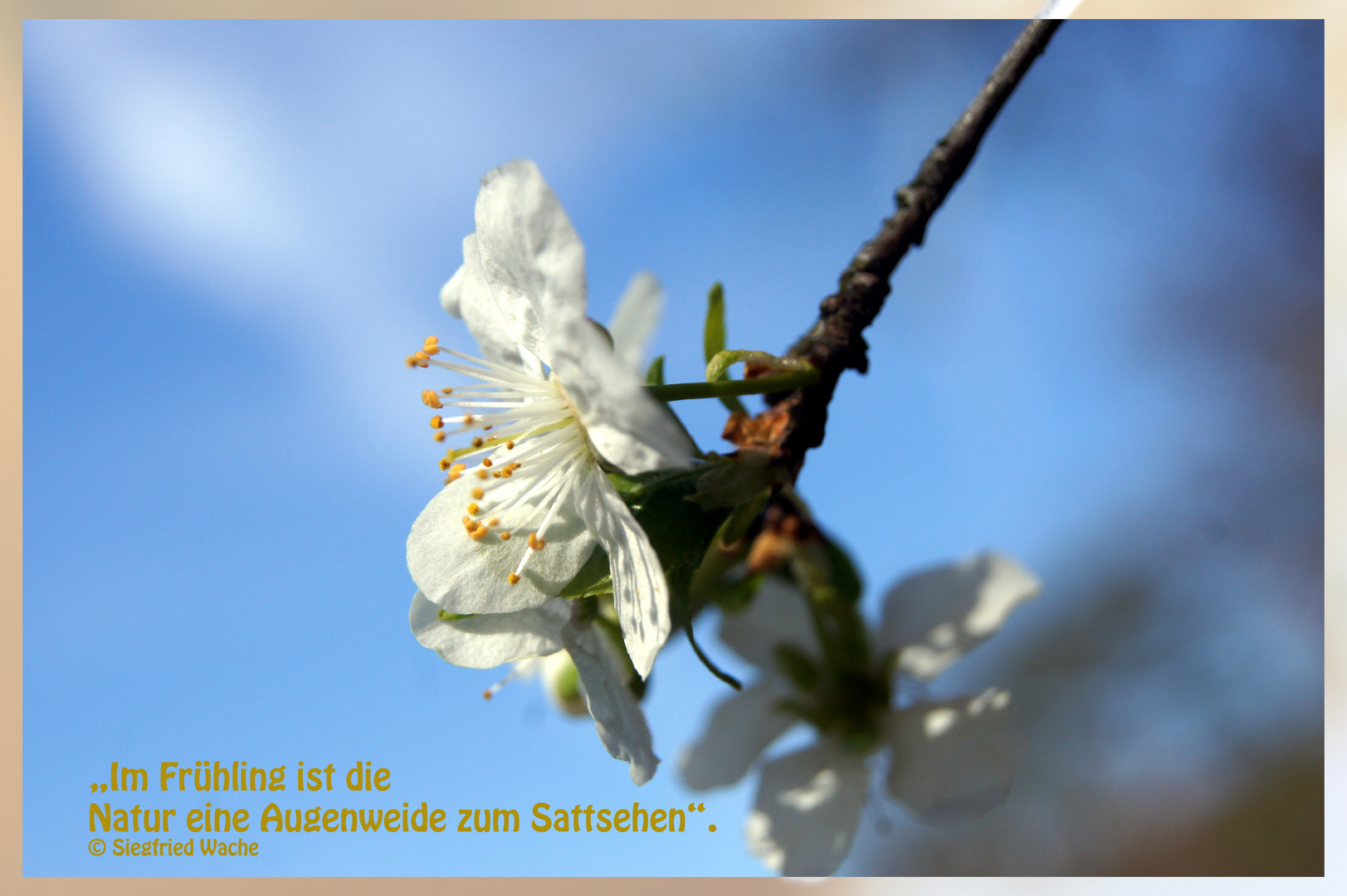 Im Frühling...