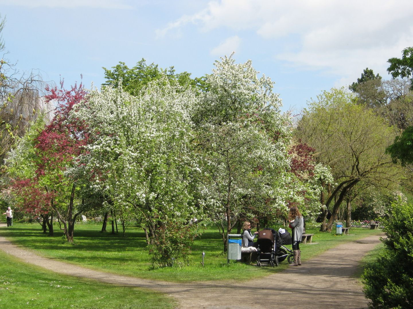 Im Frühling