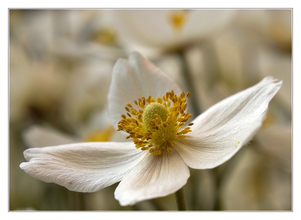 Im Frühling