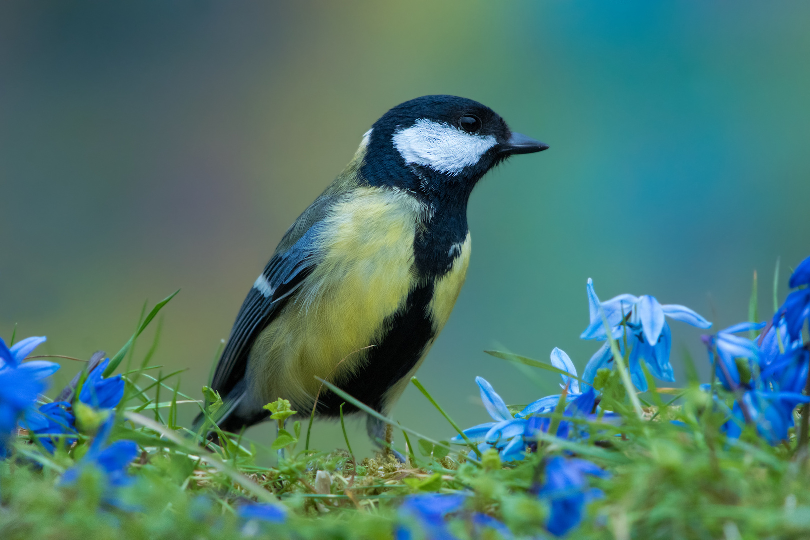 Im Frühling