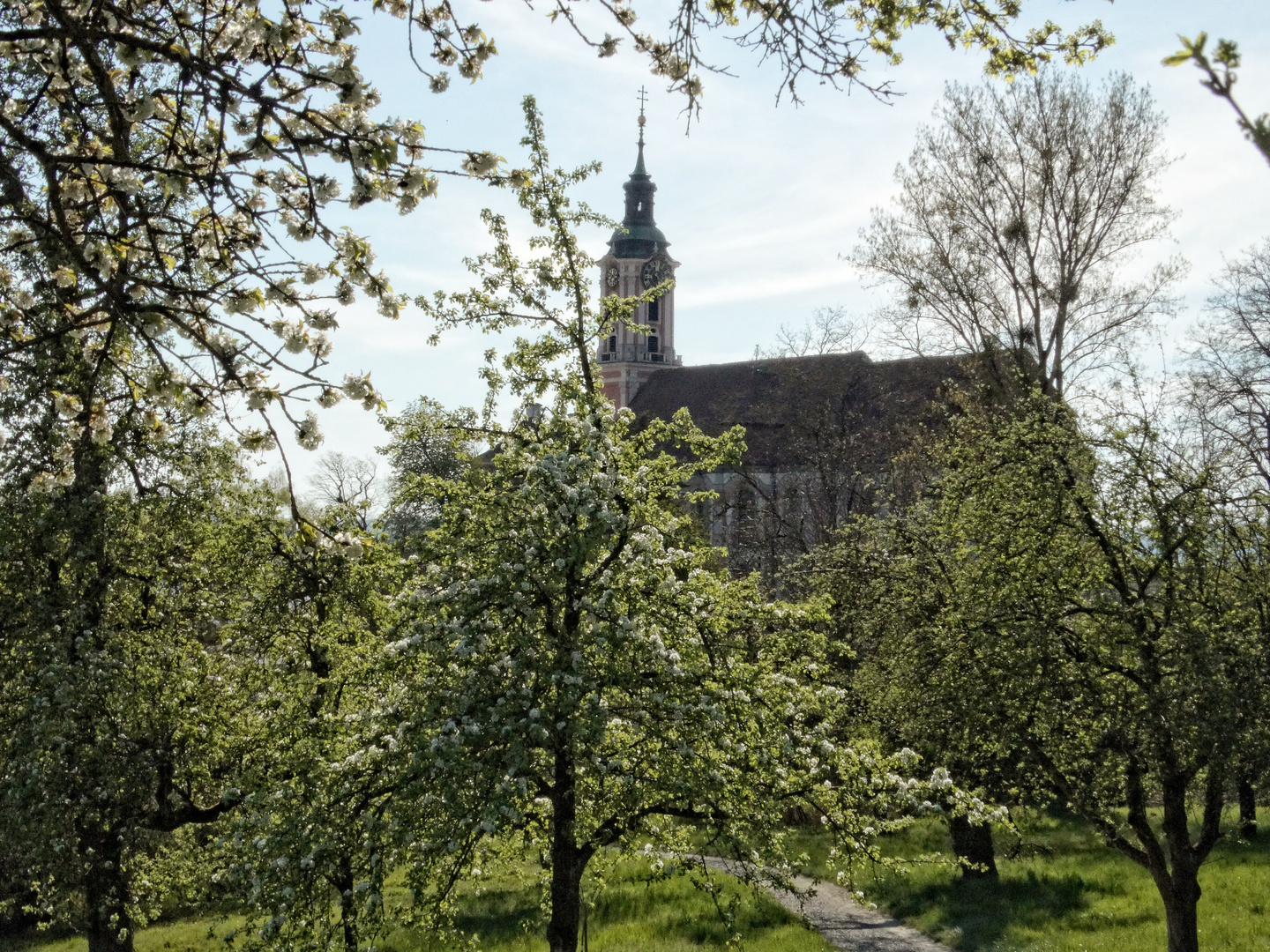 Im Frühling