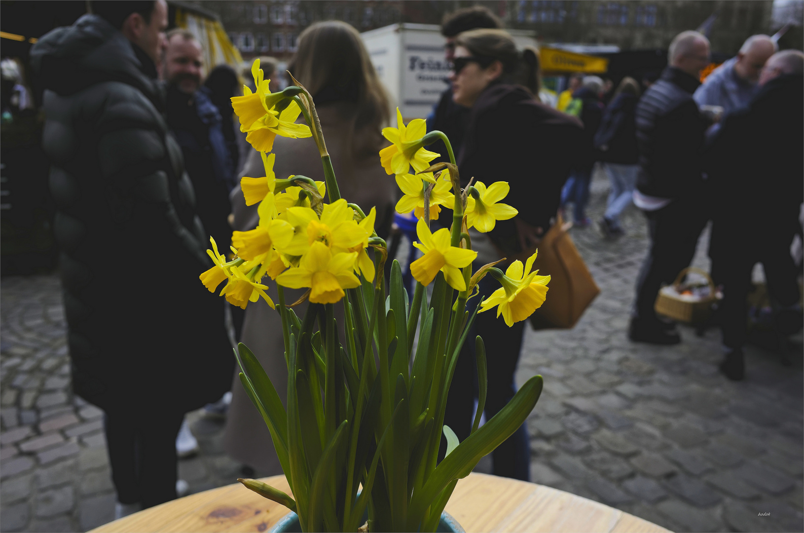 Im Frühling