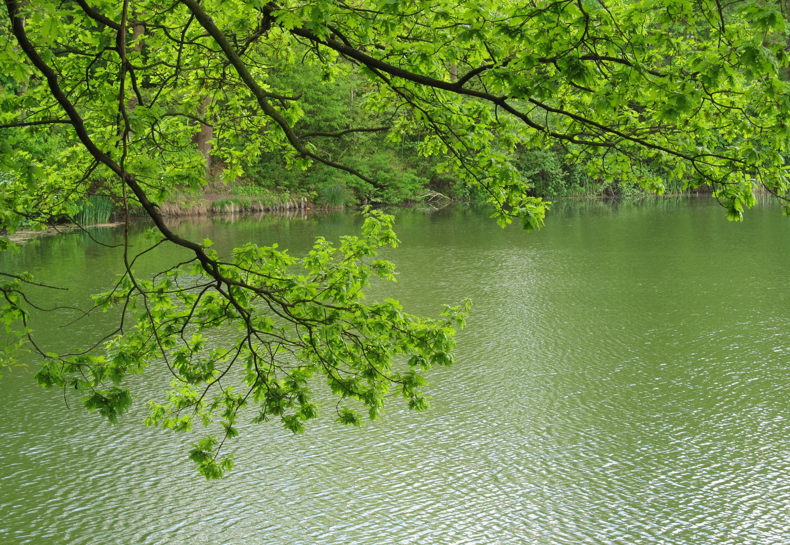 Im Frühling am See ...