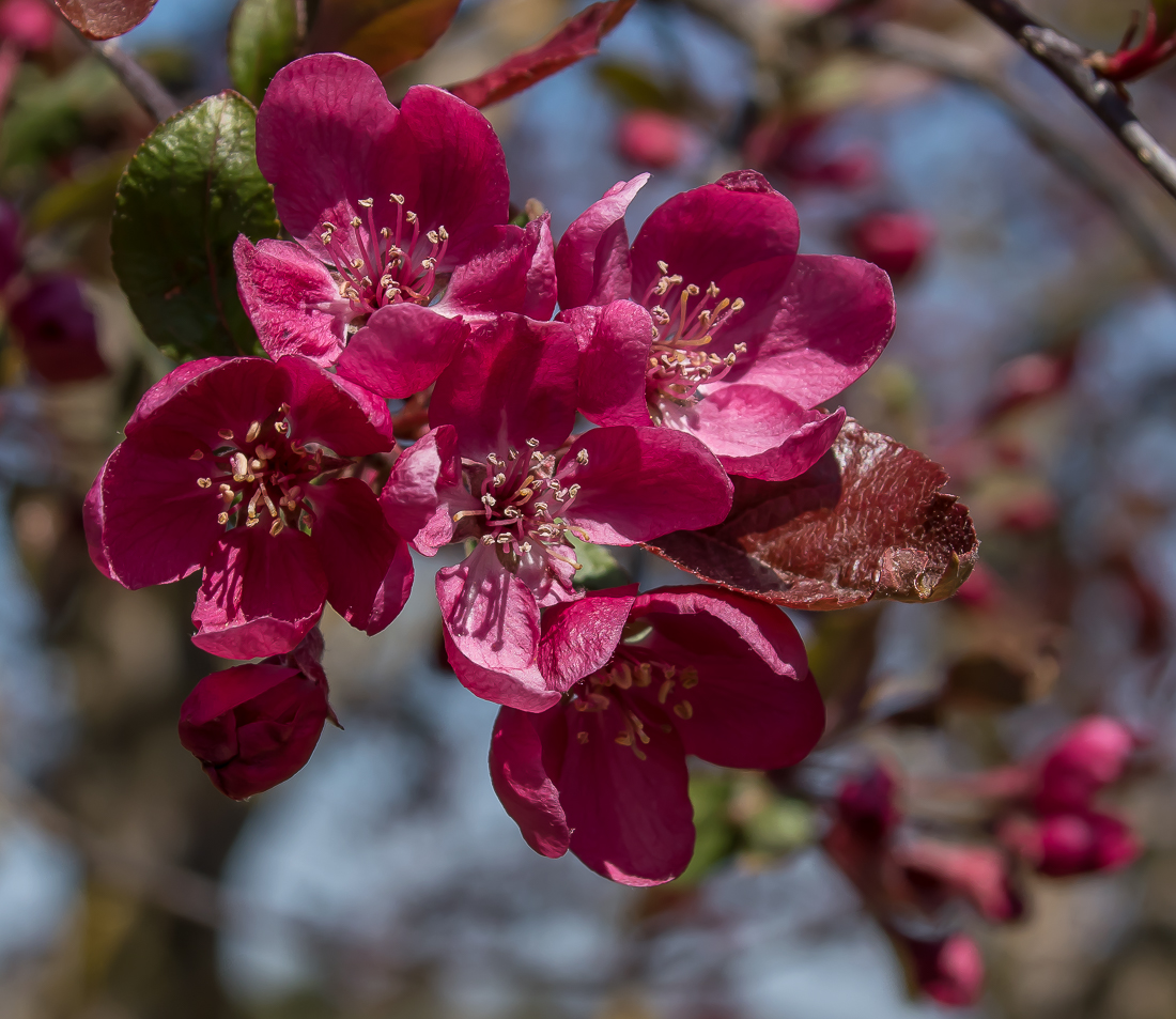 IM FRÜHLING