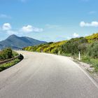 Im Frühling die Straße entlang  /  Lungo la strada in primavera (1)