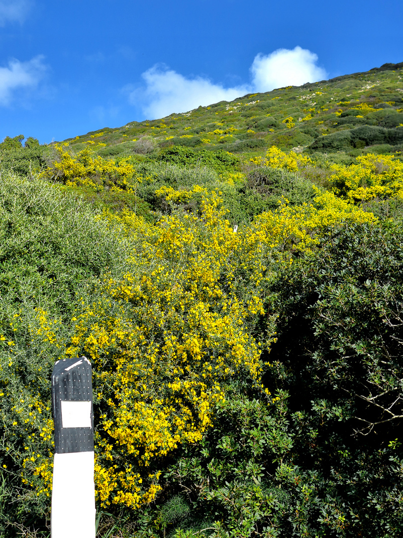 Im Frühling die Straße entlang  /  Lungo la strada in primavera (14)