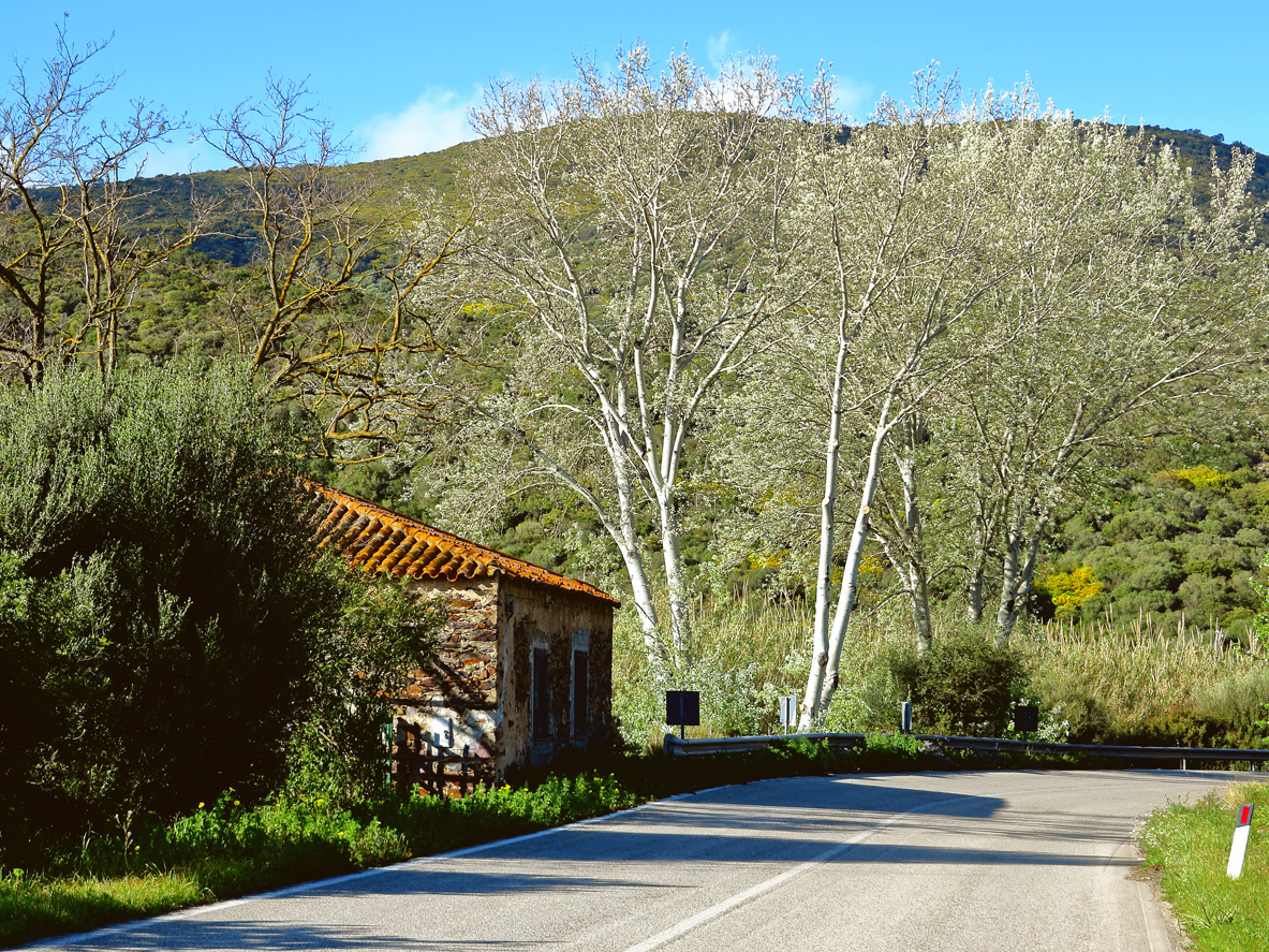 Im Frühling die Straße entlang  /  Lungo la strada in primavera (7)