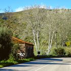 Im Frühling die Straße entlang  /  Lungo la strada in primavera (7)