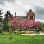 im Frühling ist wenig von der Kirche zu sehen ...