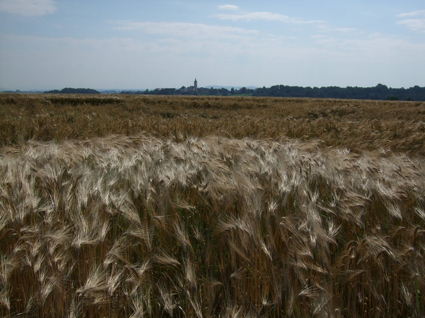 im frühling schon sommer?