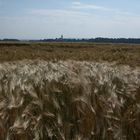 im frühling schon sommer?