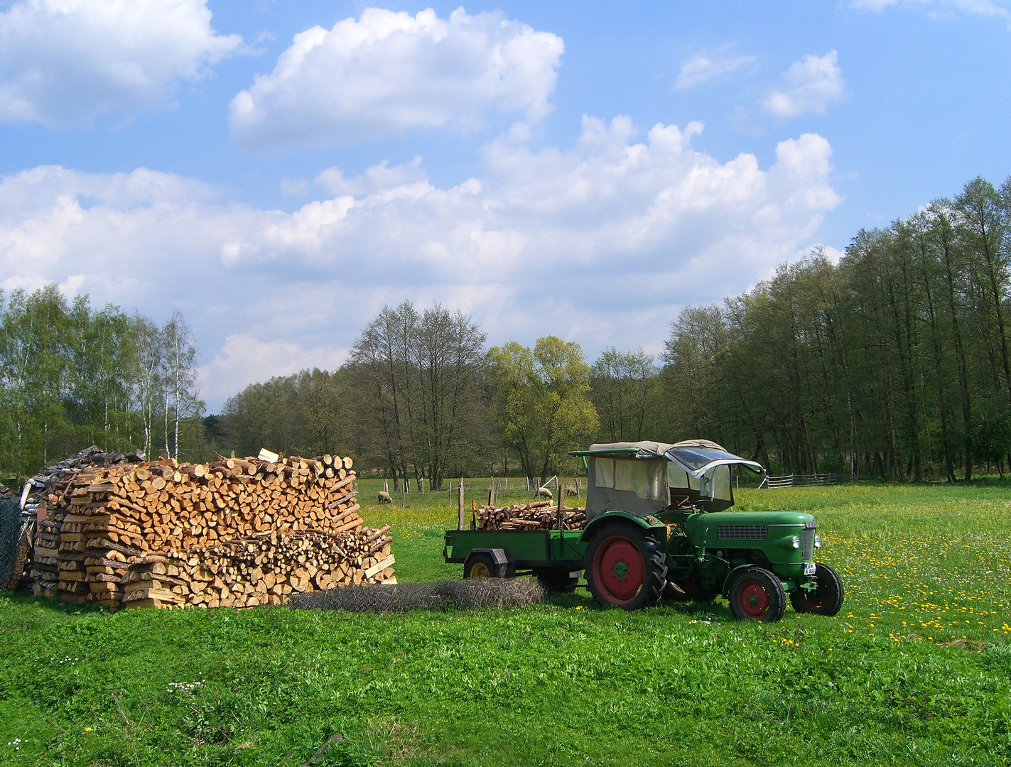 Im Frühling sollte man auch schon an den kommenden Winter denken