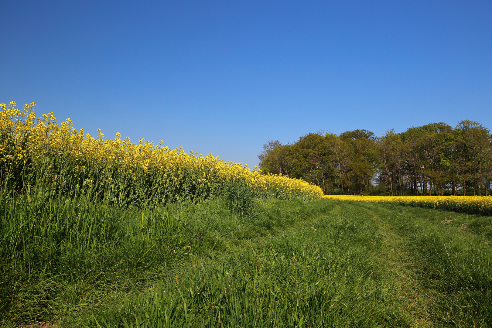 Im Frühling unterwegs...