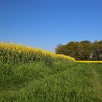 Im Frühling unterwegs...