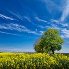 Im Frühling unterwegs