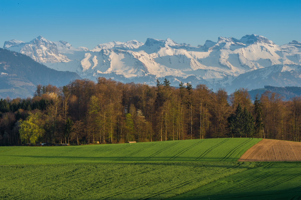 Im Frühling vor Sonnenuntergang