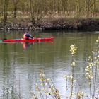 Im Frühling wird der Mensch wieder aktiv !