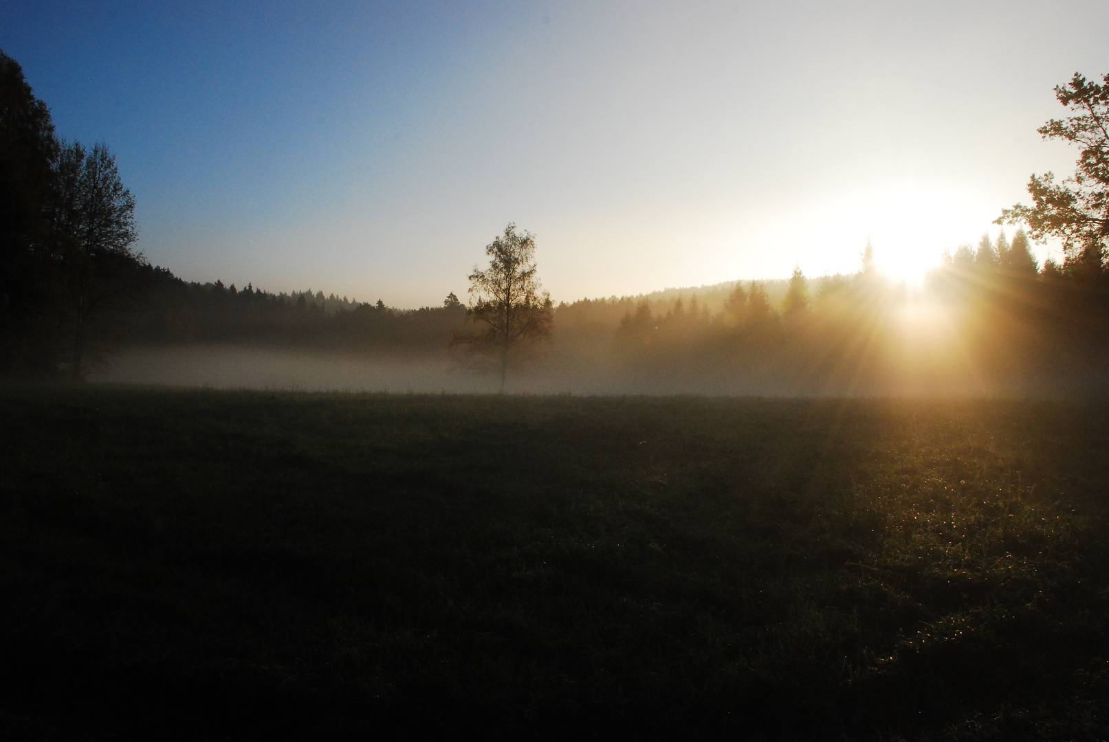 ..im Frühnebel