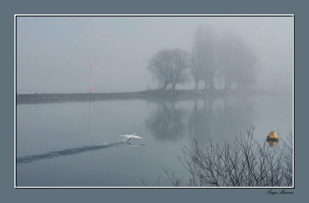 Im Frühnebel