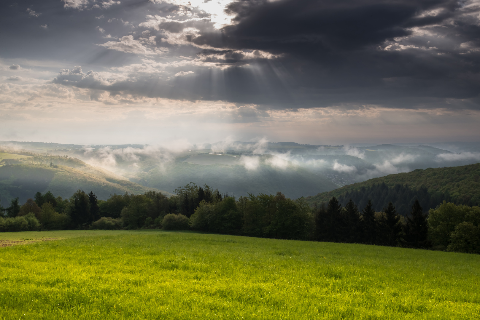 Im Frühsommer