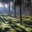 Im Frühtau zu Berge...