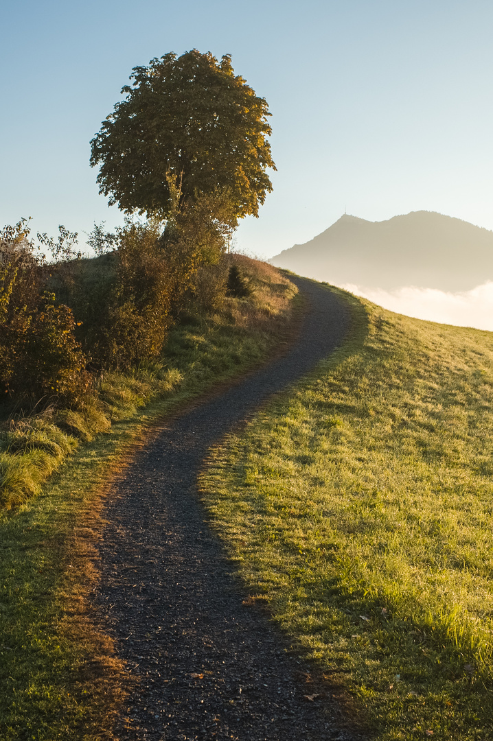 Im Frühtau zu Berge