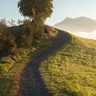 Im Frühtau zu Berge