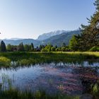 Im Frühtau zu Berge...