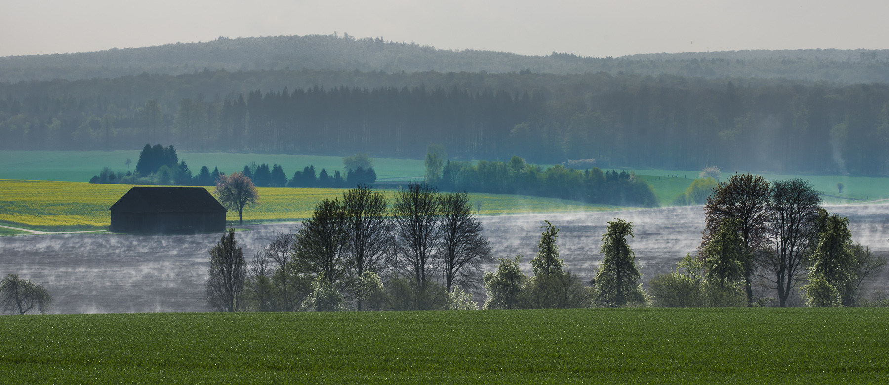 Im Frühtau zu Berge im Weserbergland