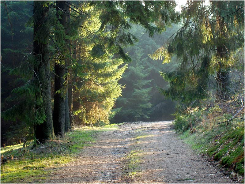 Im Frühtau zu Berge wir ziehn, Falera Es grünen die Wälder und Höh'n, Falera.  Wir wandern ohne ..