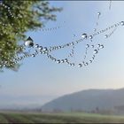 Im Frühtau zu Berge wir ziehn, fallera ...