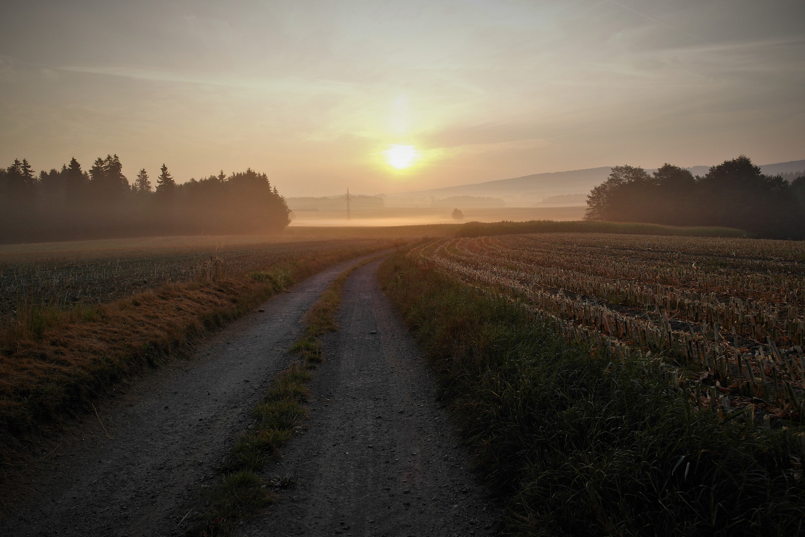 Im Frühtau zum Fichtelgebirge schauen ...