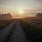 Im Frühtau zum Fichtelgebirge schauen ...