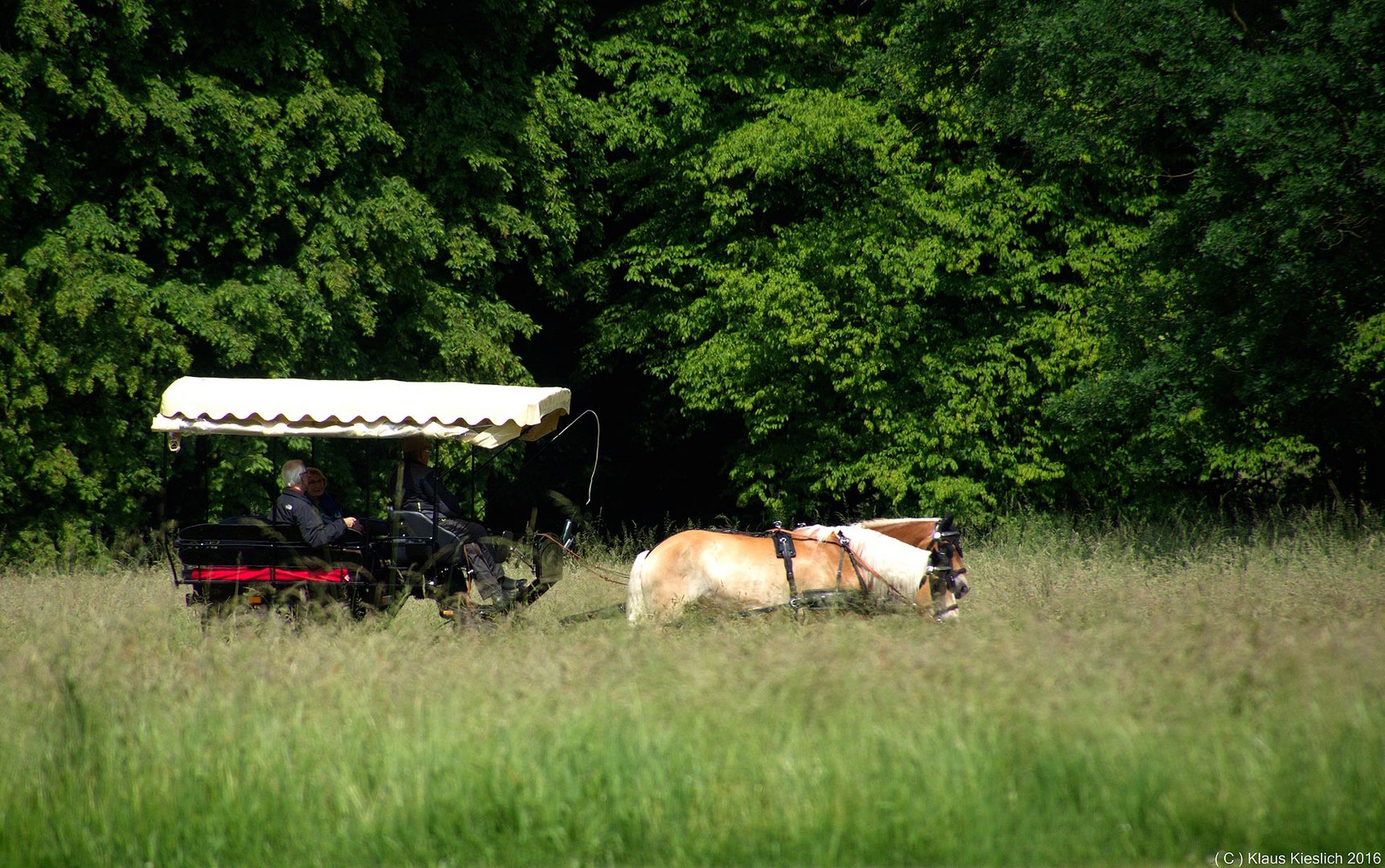 Im Fürst-Pückler-Park Bad Muskau