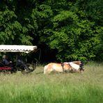 Im Fürst-Pückler-Park Bad Muskau