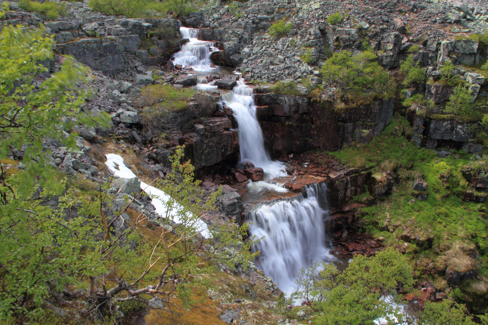 Im Fulufjället Nationalpark....