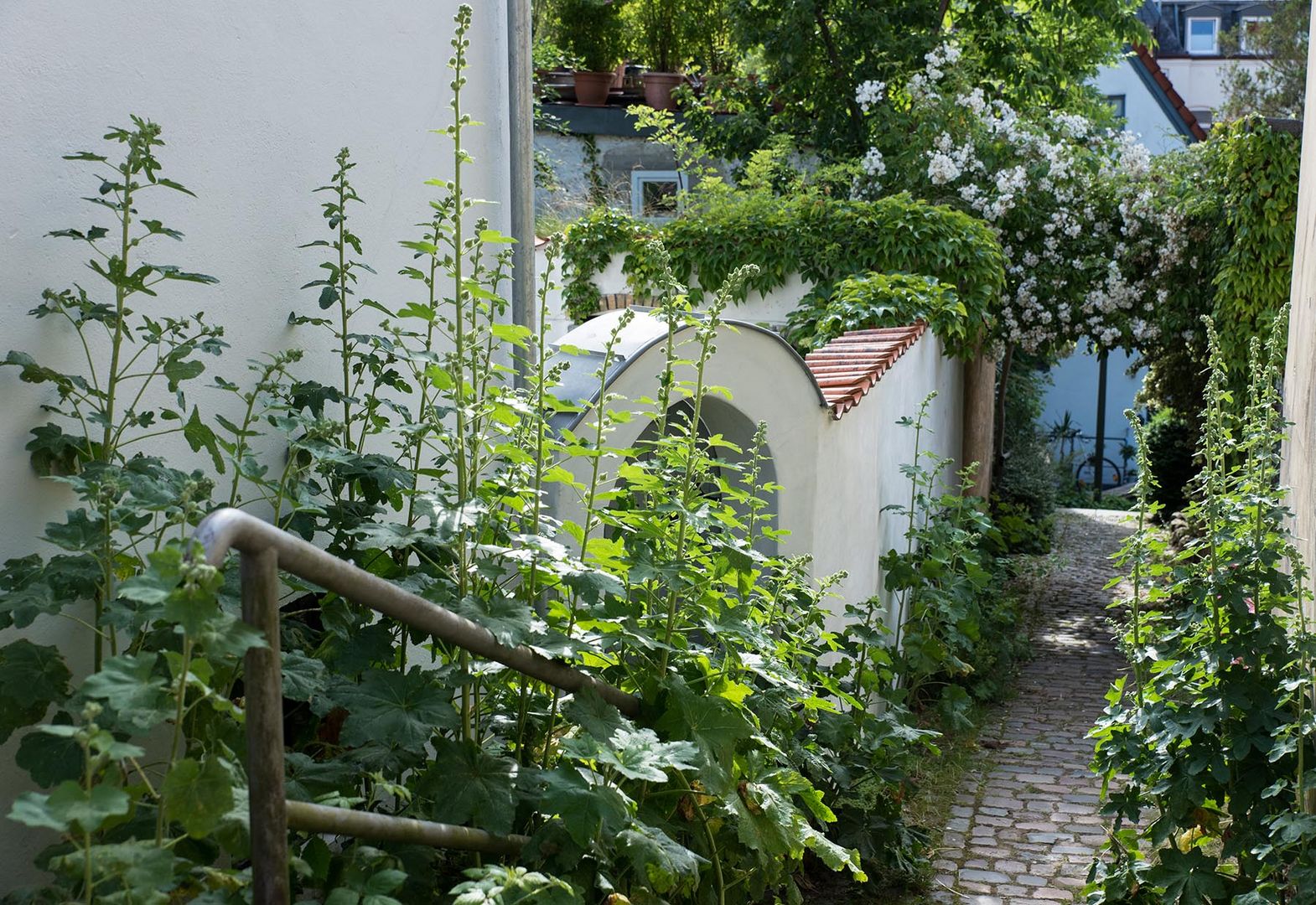 Im Gängeviertel