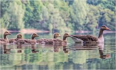 im gänsemarsch....