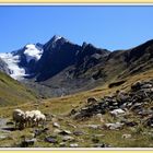 Im Gaisbergtal (Obergurgl)