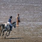 Im Galopp durch das Wattenmeer