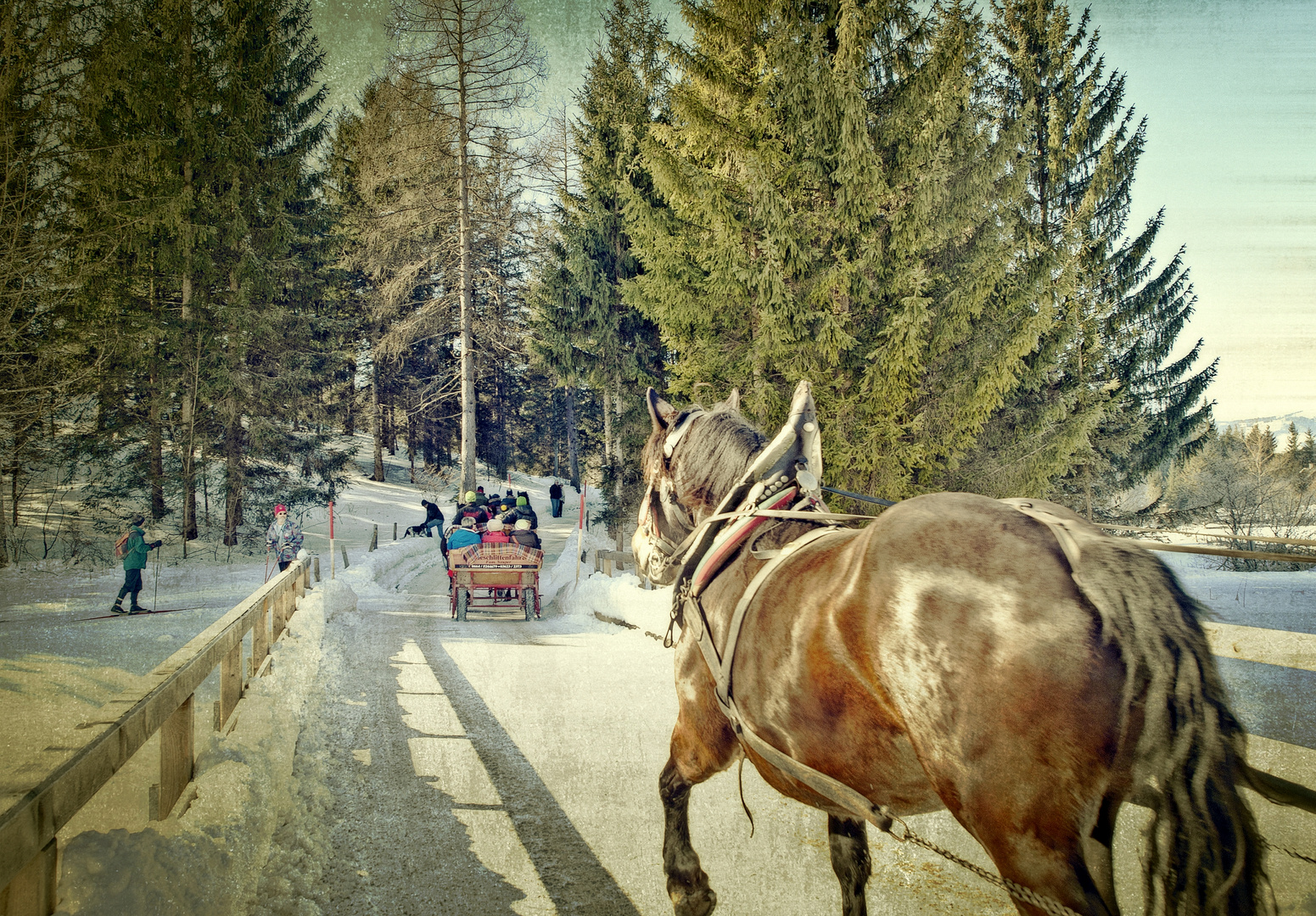 im Galopp ins Jahr 2022