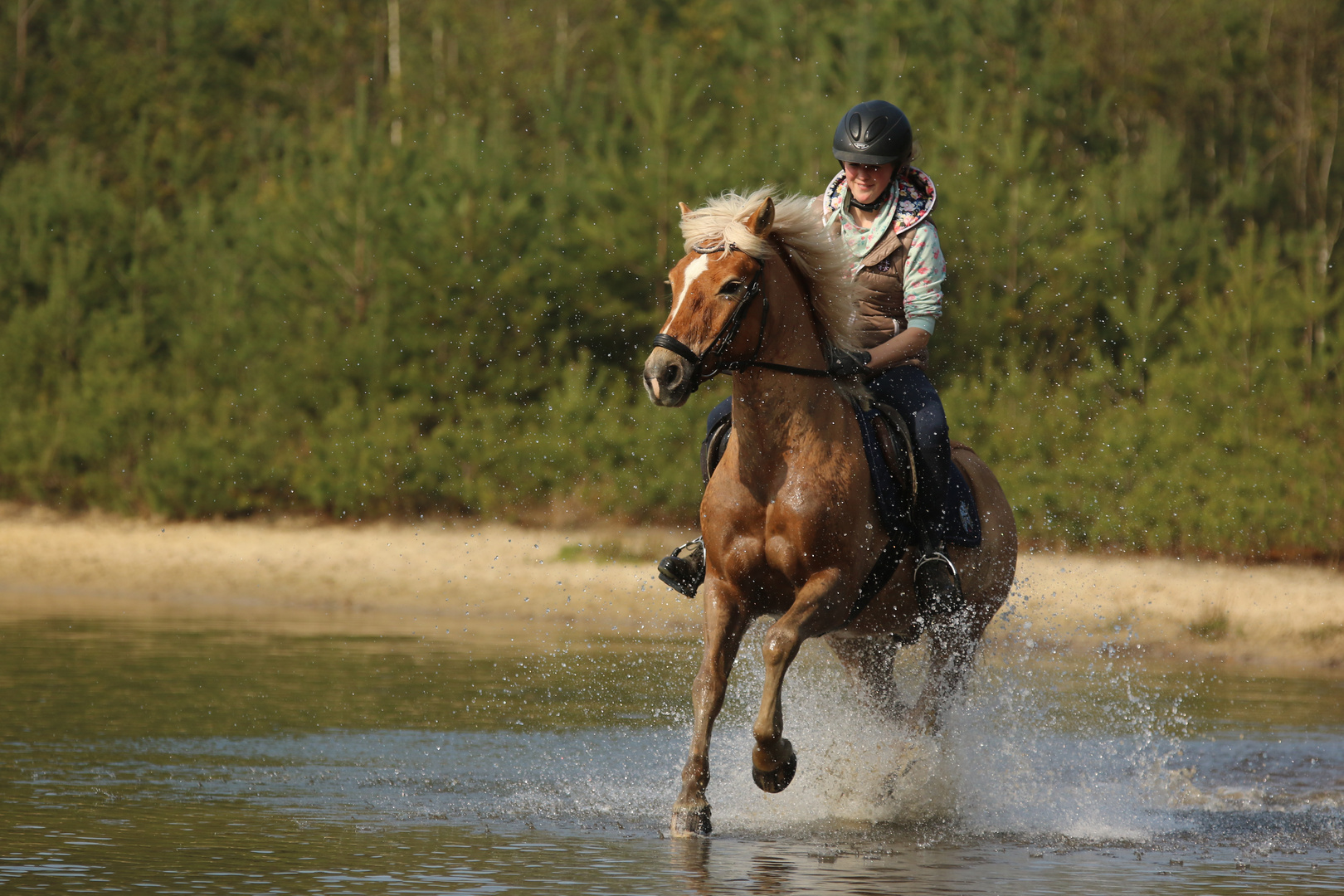 Im Galopp ins Wochenende