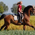 Im Galopp über die Felder