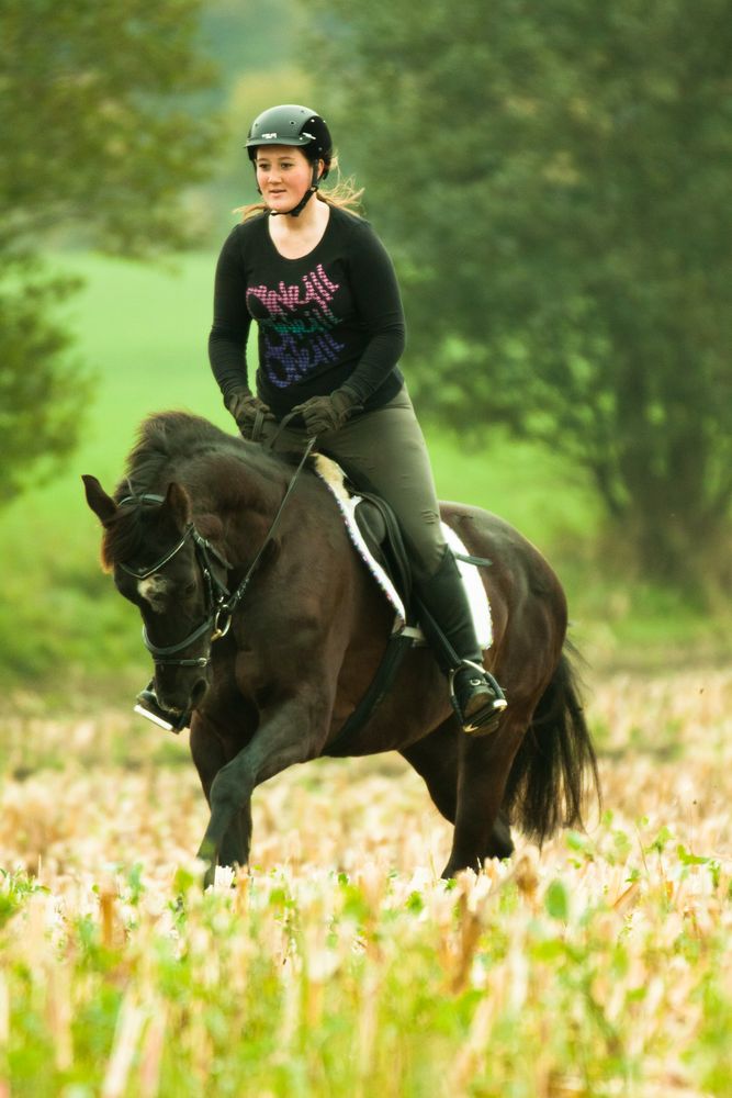 Im Galopp übers Feld, das macht Spaß