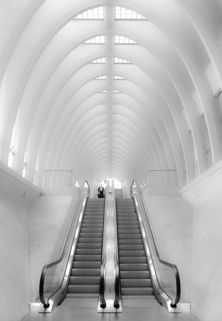 Im Gare Guillemins in Lüttich